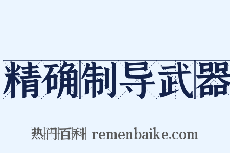 精确制导武器是什么意思的图片